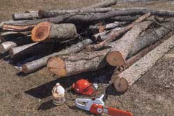 The wood pile at left will equal one cord of wood when cut and stacked.